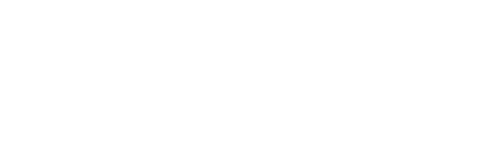 Logo Adyen 